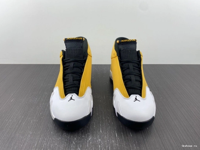 Light Retro 487471-701  Ginger Jordan 14 0930